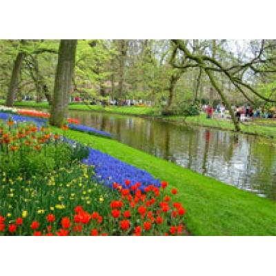 Праздник цветов и успех туризма в парке Кёкенхоф
