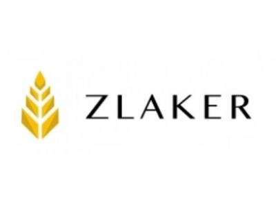 Zlaker расширяет партнерскую сеть: россияне смогут зарабатывать на продаже налоговых услуг