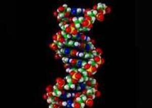 Нобелевку по медицине вручат за генный таргетинг