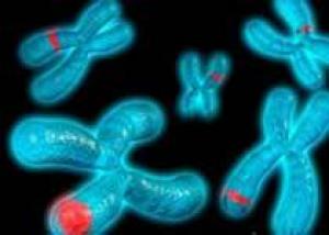 Французские ученые пересадили гены детям с адренолейкодистрофией