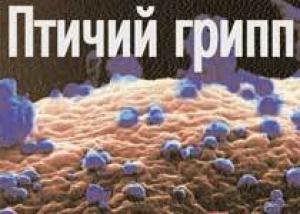 В России вспышка птичьего гриппа