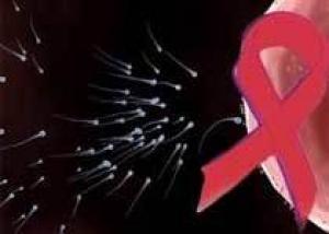 Ключ к спасению от СПИДа кроется в сексе