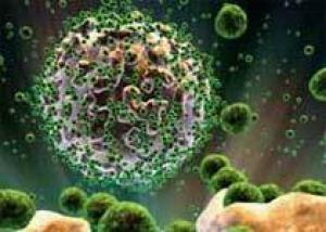 Список взаимодействующих с ВИЧ человеческих белков увеличился в четыре раза