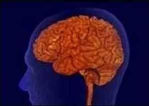 Исследована физиология памяти у шизофреников