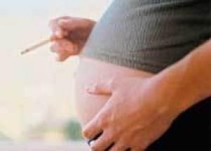 Женщины с вредными привычками рискуют родить детей с меньшим объемом мозга