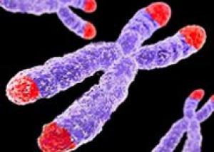 Польза от хромосомных исследований не всегда превышает риск