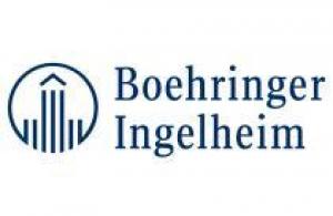 В первом полугодии 2014 г. компании «Берингер Ингельхайм» удалось выполнить поставленные задачи