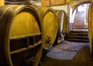Производство кубанских вин составило более 18,5 млн гекталитров