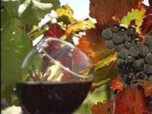 Франция поставила новый рекорд по экспорту вина и крепких напитков