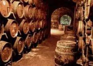 Итальянский бар агитирует за безалкогольное вино
