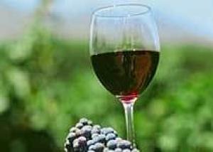 Молдавские вина могут быть востребованы на азиатском рынке