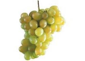 Объем импорта винограда в сентябре уменьшился по сравнению с прошлым годом на 30%
