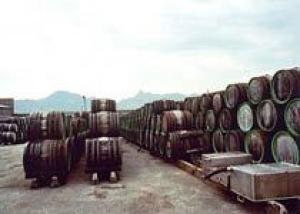 `Минский завод виноградных вин` начнет производство выдержанных марочных вин