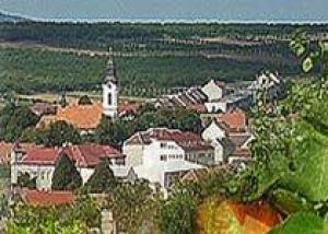 В Чехии отроют виноградную башню