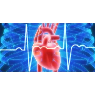 Стартовали первые исследования, посвященные влиянию эмпаглифлозина на исходы при хронической сердечной недостаточности