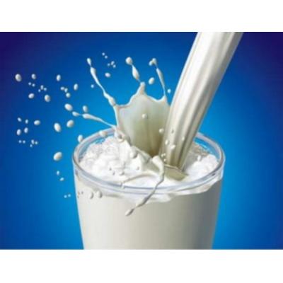 Молоко по высшему молочному стандарту – в чем польза магазинного молока