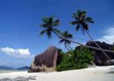 Тысячи туристов не могут улететь с островов Фиджи