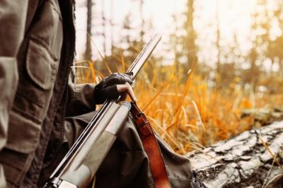 В России запустили специализированный портал по продаже туров и разрешений для самостоятельной охоты в охотничьих угодьях