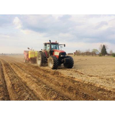 Основные направления работы сезона ООО «Раздолье» – картофелеводство и сенозаготовка