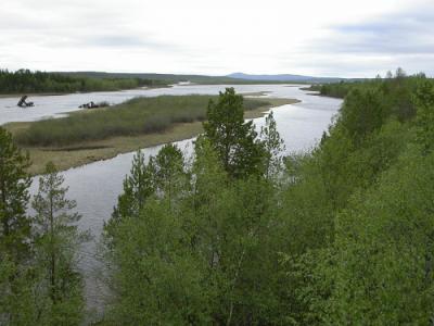 В заповеднике «Пасвик» подписано соглашение о сотрудничестве WWF России и Норвегии