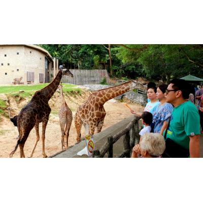 Открытый контактный зоопарк Кхао Кхео в Королевстве Таиланд приглашает на ночное сафари с экзотическими животными