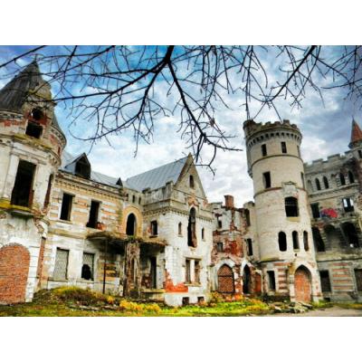 Погрузиться в XIX век: усадьба Храповицких «Муромцево» требует реставрации