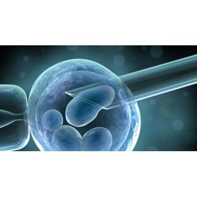 Предимплантационная диагностика эмбрионов в «Аймед»
