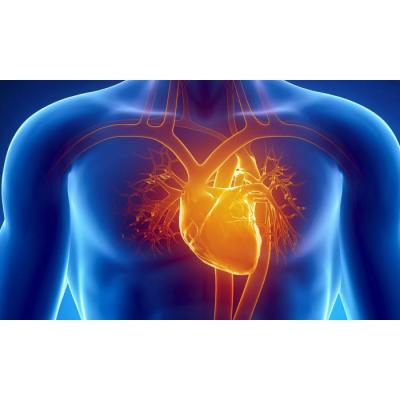 Bayer и РКО поддержат инновации в кардиологии