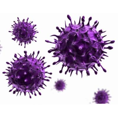 Вирусы, антибиотики и генетика
