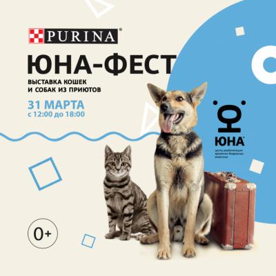 Выставка собак и кошек из приютов «Юна-Фест»: сделайте весну теплее!