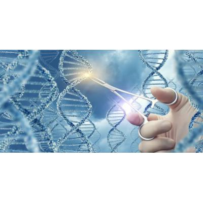 Инновация в медицине – лечение онкологии с помощью генной инженерии