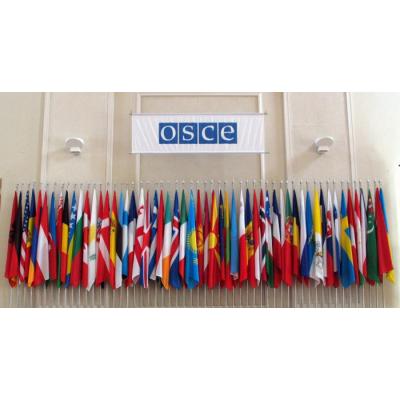Совещание ОБСЕ по правам человека: в защиту прав индуизма и его лидера в России Шри Пракаша Джи