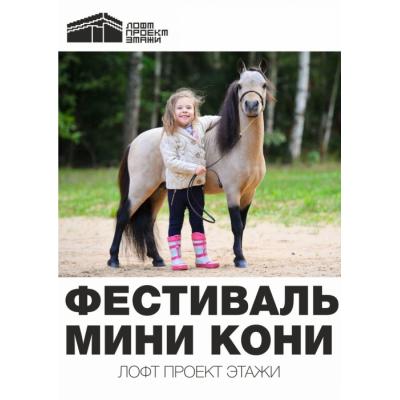 Мини-кони в Санкт-Петербурге: необычный фестиваль пройдет в Лофт Проекте ЭТАЖИ