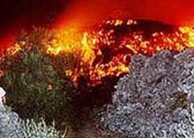 Из-за извержения вулкана закрыт парк Конгильо в Чили