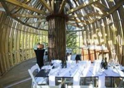 В Новой Зеландии появился ресторан на дереве