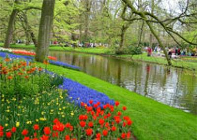 Праздник цветов и успех туризма в парке Кёкенхоф