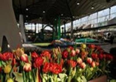 В Оломоуце открывается международная выставка цветов `Флора`