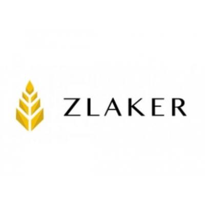 Zlaker расширяет партнерскую сеть: россияне смогут зарабатывать на продаже налоговых услуг