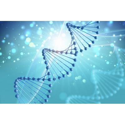 Генеалогическая компания «Археограф» и компания генетических исследований «ДНК-Наследие» договорились о партнерстве.