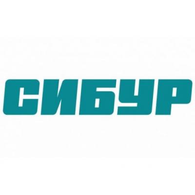 СИБУР и Mail.ru Group стали цифровыми партнерами