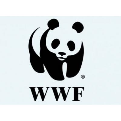 Citi, WWF и ЭКА подвели итоги экоквеста «Другая планета» среди студентов России и Казахстана