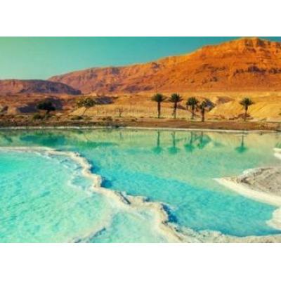 Грязи Мертвого моря: польза и области применения