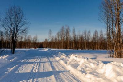 Зимой под Петербургом выросло количество целевых запросов на земельные участки