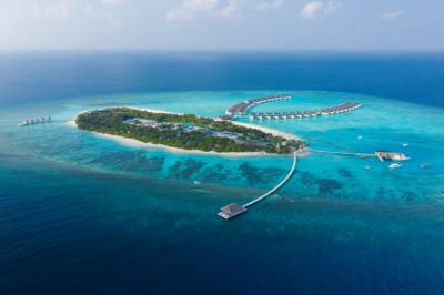 Июль — месяц дайвинга в Mӧvenpick Resort Kuredhivaru Maldives