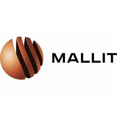 MALLIT начнет поставки решений ZWSOFT на российском рынке