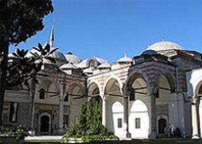 В музее Турции выращивали коноплю