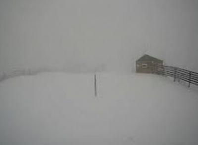Курорты Красной Поляны накрыло снегом