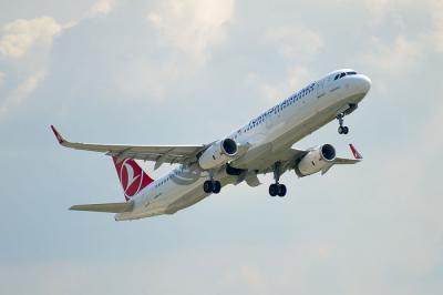 Cамой дружелюбной к домашним животным авиакомпанией оказалась Turkish Airlines