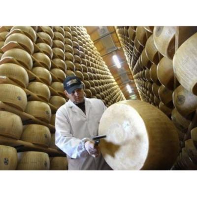 В Ленинском городском округе к концу 2023 года запустят производство сыров