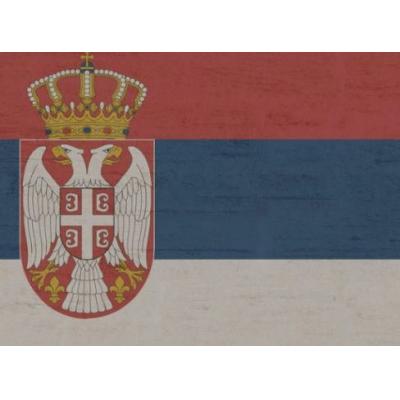 Поставки российского газа в Сербию увеличатся с 1 декабря